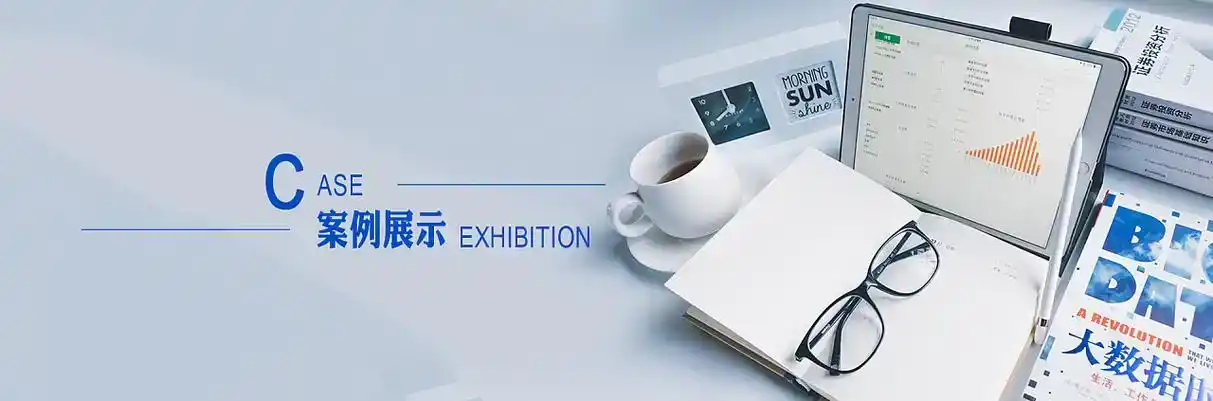 麻阳苗族自治县软件开发